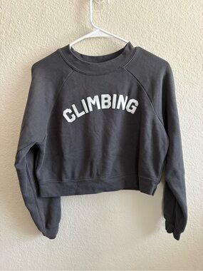 Cropped Climbing Graphic Sweatshirt - Gray